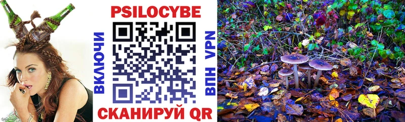 Псилоцибиновые грибы Psilocybine cubensis  kraken ONION  Шумерля 