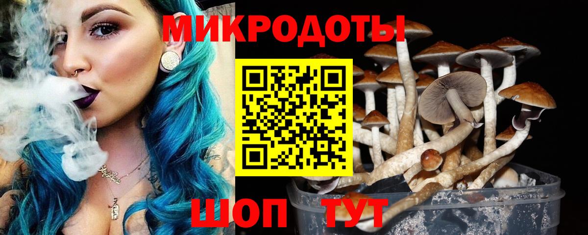 Псилоцибиновые грибы Psilocybine cubensis  Псилоцибиновые грибы мицелий  Вход с VPN  купить  цена  Шумерля 